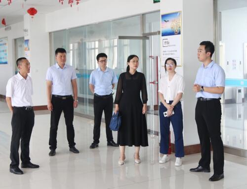 Warmly Welcome The Leaders Of Jining Municipal Bureau Of Commerce To Visit BST Group